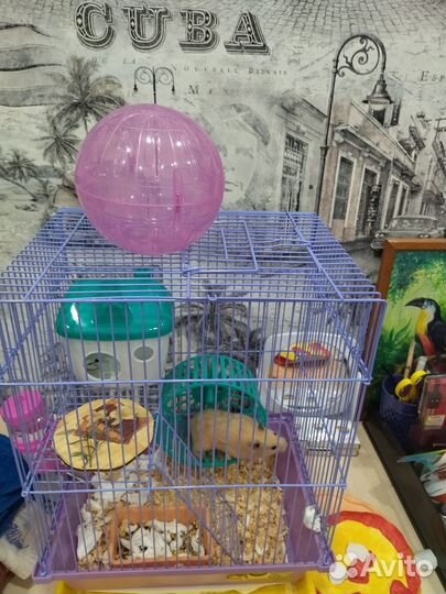 Клетка для хомяка