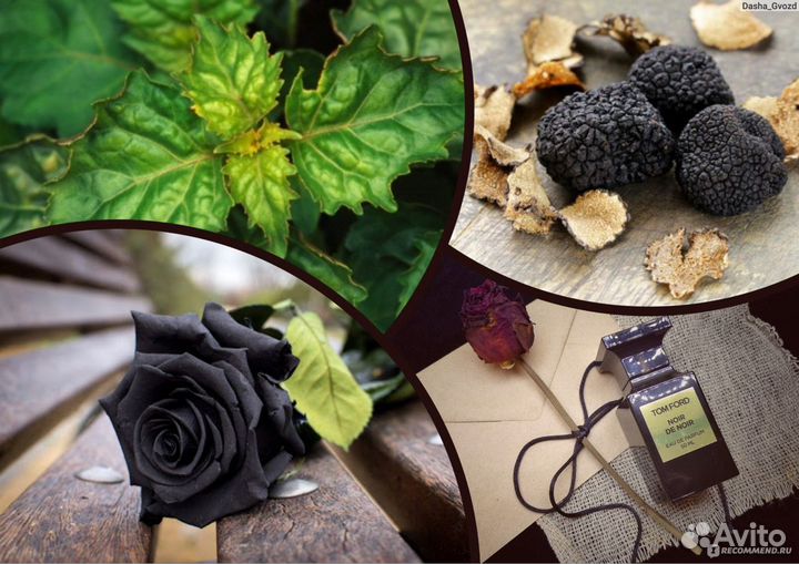 Tom Ford Noir de Noir