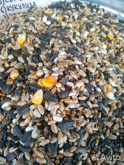 Зерно.Корма, семечки,просо,Purina
