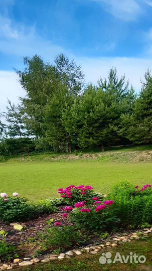 Передержка