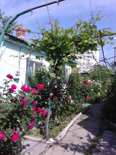 Комната 30 м² в 1-к., 1/1 эт.