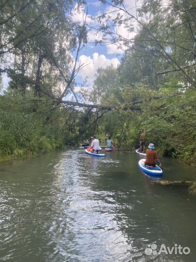 Аренда сапборда, sup борд аренда
