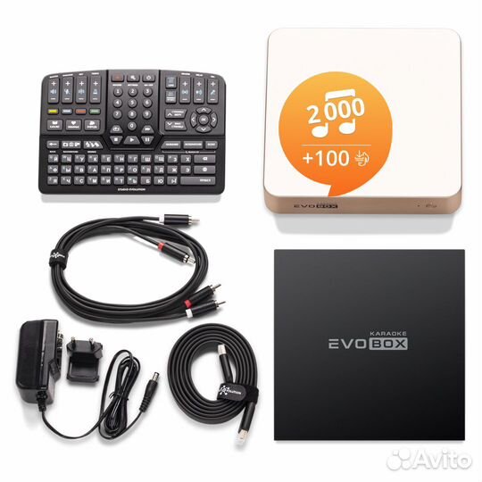 Караоке система для дома Evolution Evobox Gold
