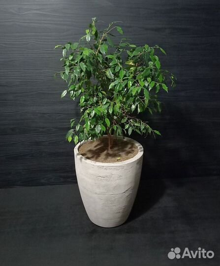 Вазоны, Горшки, Кашпо под заказ из бетона