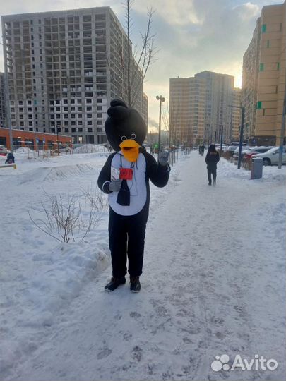 Промоутеры.Раздача листовок.Ростовые куклы