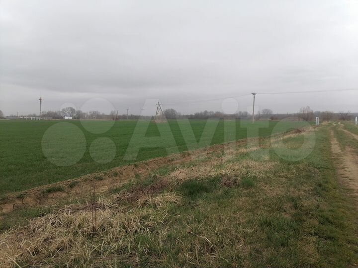 Участок 6,89 га (СНТ, ДНП)