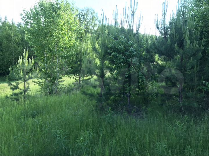 Участок 11 сот. (ИЖС)