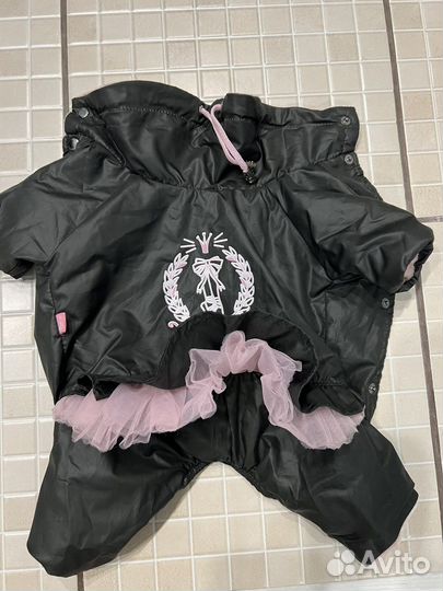 Одежда для маленьких собак