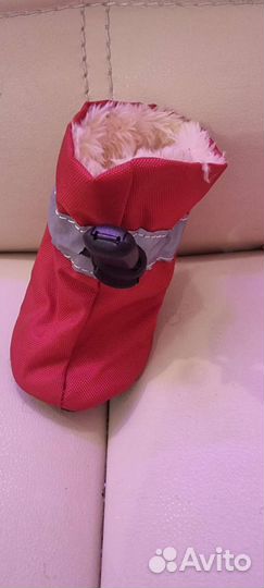 Обувь для животных