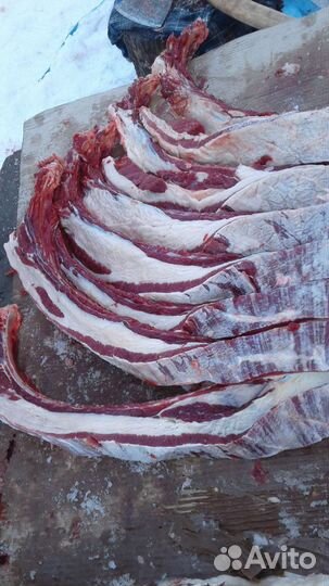 Продам мясо конина