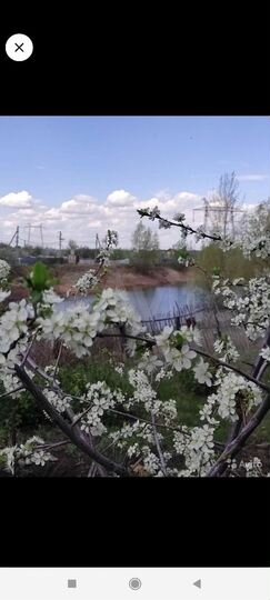 Дача 20 м² на участке 6 сот.