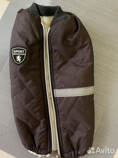 Попона для мелких пород собак