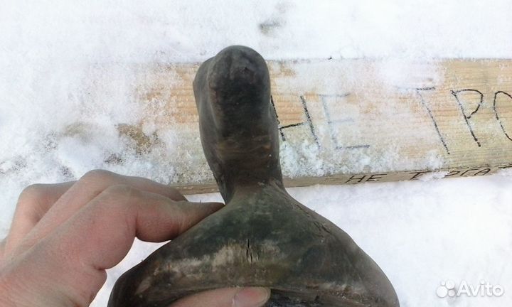 Резиновая утка