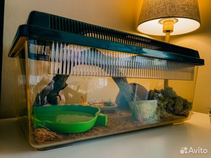 Террариум Hagen Exo-Terra Faunarium плоский средни