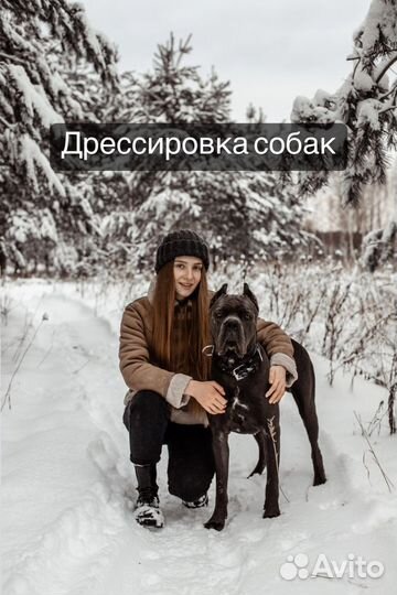 Дрессировка собак/кинолог ; г.Раменское