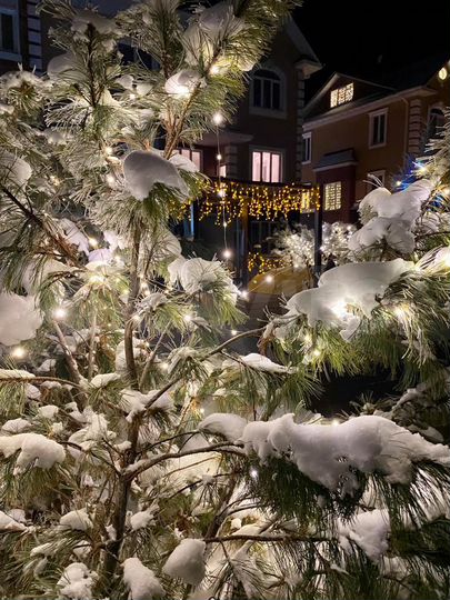 Коттедж 320 м² на участке 4 сот.