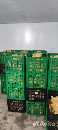 Домашние бройлеры тушки