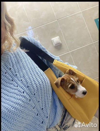 Сумка переноска для собак