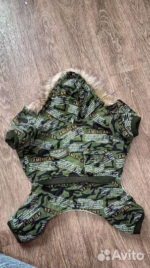 Одежда для собак