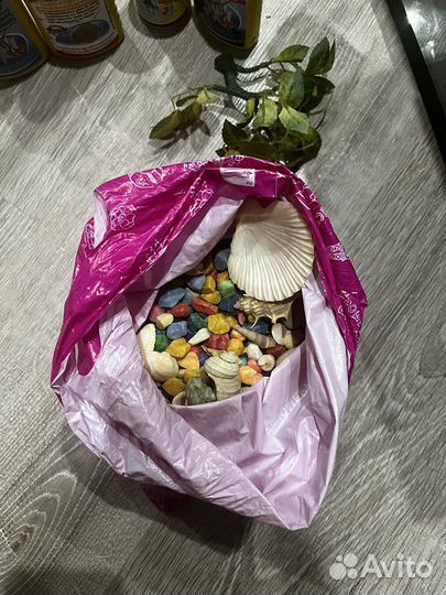 Аквариум 10 литров