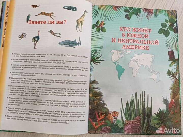 Энциклопедия для детей