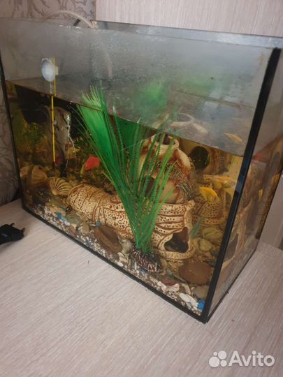 Аквариум