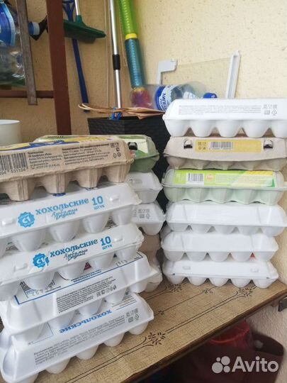 Лотки для яиц