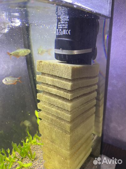Аквариум с рыбками