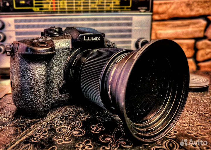 Panasonic lumix gh5