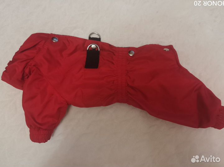 Одежда для собак мелких пород