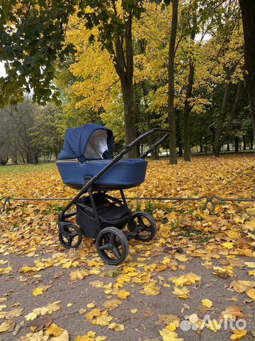 Коляска 3 в 1 Adamex Reggio Special Edition