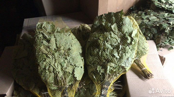 Веник дубовый Премиум