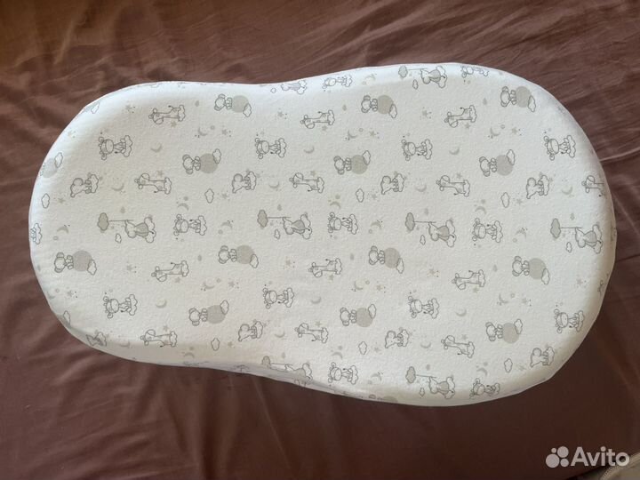 Кокон зевушка