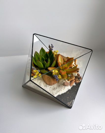 Флорариум Октаэдр