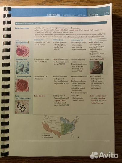Usmle step 1. Usmle step 2. 2023