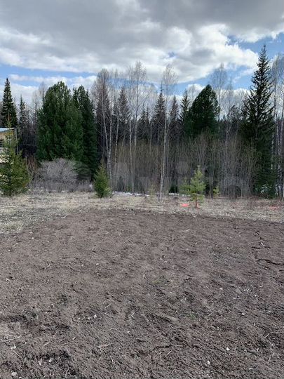 Участок 11 сот. (СНТ, ДНП)