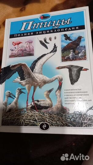 Энциклопедии