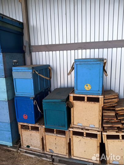 Продам пасеку