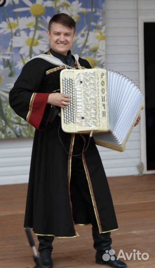 Баянист на юбилей