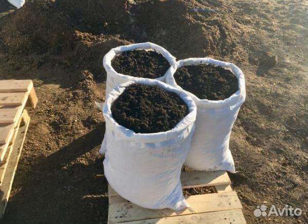 Чернозем плодородный