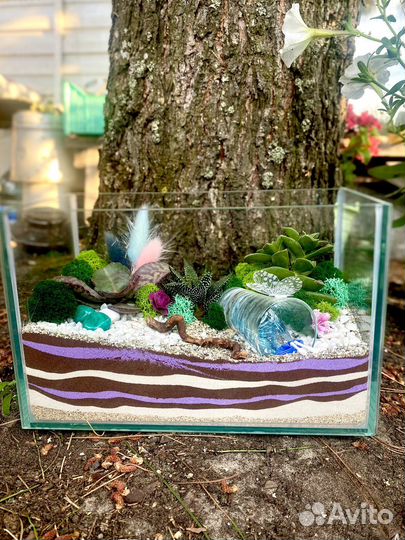 Композиции из суккулентов