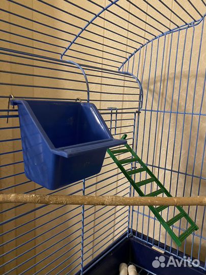 Клетка для попугая