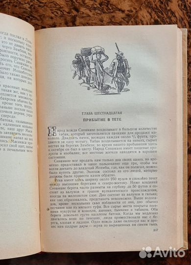 Ливингстон Путешествие Замбези. Андерсен в Швеции