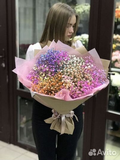 Гипсофилы