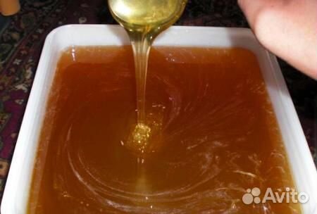 Мед с пасеки оптом