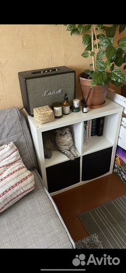 Колонка marshall woburn