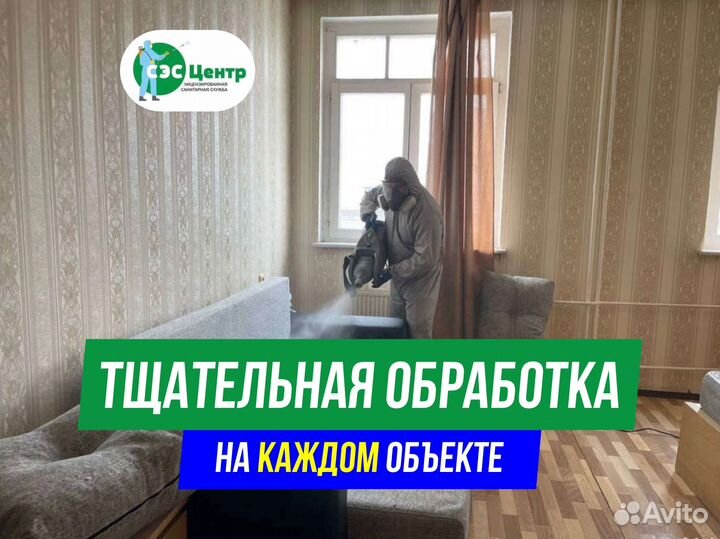 Уничтожение клопов, тараканов. Обработка участков