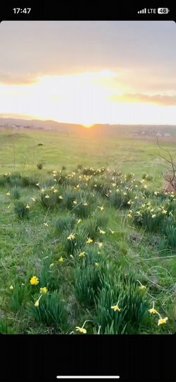 Участок 6 сот. (СНТ, ДНП)