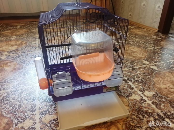Клетка