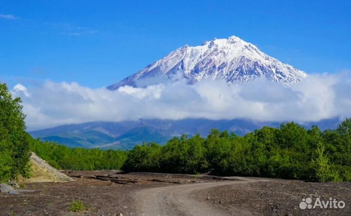 Турпутевка на Kamchatku 7 дней